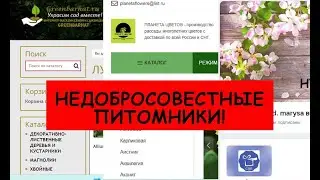 Осторожно! Недобросовестные питомники, сезон 2023