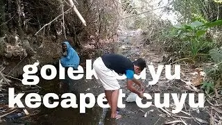 lucu kecapit kepiting mintak susunya mam mam film pendek episode 8