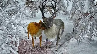 Как сделать ОЛЕНЯ. НОВОГОДНИЕ поделки своими руками. CHRISTMAS DEER. DIY.