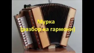 Мурка(разбор на гармони)