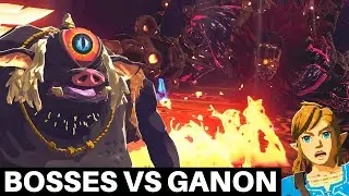 What Happens if Other Bosses Fight Ganon?