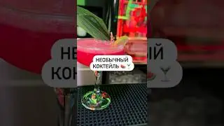 Необычный коктейль 🍉🍸