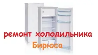 Ремонт холодильника бирюса 6