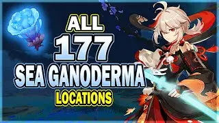 All 177 Sea Ganoderma Locations - Efficient Farming Route - Yae Miko & Kazuha Ascension Material