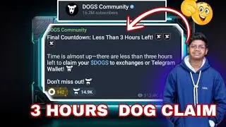 3 Hours dog token claim  || Dog token wallate claim || Dog Token Withdraw peoses ||@hicryptoearn