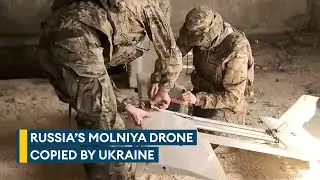 Molniya: Russia's wooden flatpack drone that's being copied by Ukraine