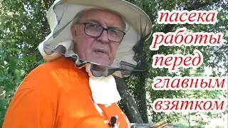 РАБОТЫ НА ПАСЕКЕ перед главным взятком.