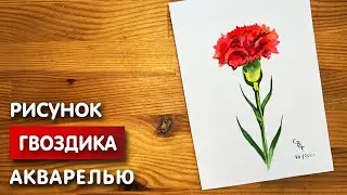 Как нарисовать гвоздику карандашом и акварелью начинающим | Рисунок поэтапно и легко для детей