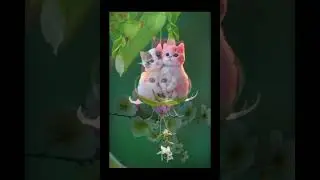 বিড়াল নাচ||cats dances