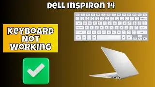 Dell Inspiron 14 Keyboard Not Working issue