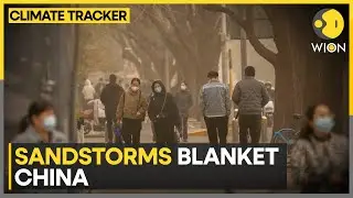 Severe sandstorms & heavy snowfall disrupt transport in Northwest China | WION Climate Tracker