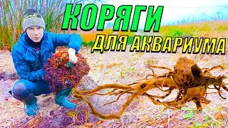 Коряги для аквариума СВОИМИ РУКАМИ!