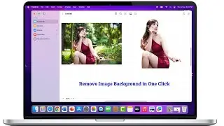 How to Remove Image Background in MacBook in One Click