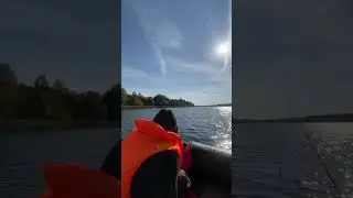 Волга, идем на рыбные места #волга #рыбалка #fishing