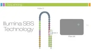 Intro to Sequencing by Synthesis: Industry-leading Data Quality