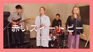 【歌詞付】赤いスイートピー / 松田聖子【Cover】Akai Sweet Pea by Seiko Matsuda