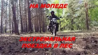 На МОПЕДЕ в ЛЕС. ЭКСТРИМАЛЬНАЯ поездка.