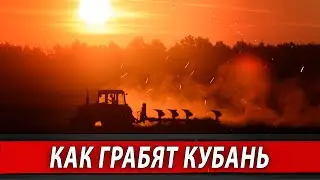 Как грабят Кубань | Журналистские расследования Евгения Михайлова