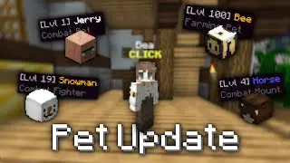 Hypixel SkyBlock Pet Update - How to Get them and Level them up!