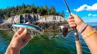 Summer SALTWATER Fishing for AGGRESSIVE Bass!! (PB Striped Bass)