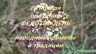 20 ноября праздник Федотов День . Народные приметы и традиции