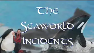 The SeaWorld Incidents | An Entertainment Company I Have No Respect For