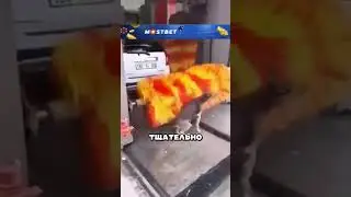 Собакен решил помыться на мойке с машинами 😂🔥🐕