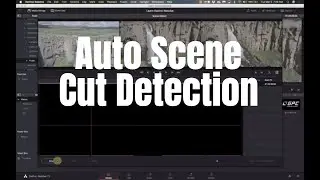 Auto Scene Cut Selection with Davinci Resolve