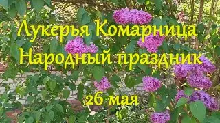 26 мая. Народный праздник Лукерья Комарница. Приметы дня.