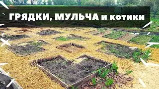 Малоуходный огород, дорожки из опилок - да или нет?