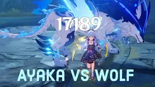 Kamisato Ayaka Solo Andrius (Wolf) - [Genshin Impact]