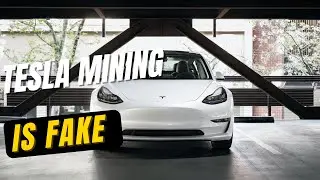 [Proof] Earning $800 with Tesla Mining is Fake