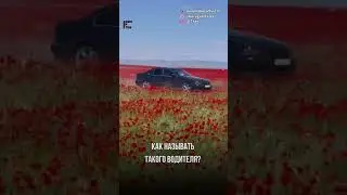 Очевидцы сняли на видео дрифт водителя BMW, который прокатился по маковым полям под Алматы