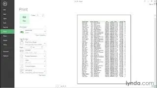 Excel Tutorial - Display a print preview instantly