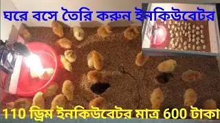 ডিম ফোটানোর মেশিন তৈরি How to make a Hatching Egg Incubator at home