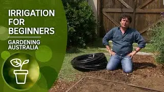 Irrigation Made Easy: Heres how you install irrigation