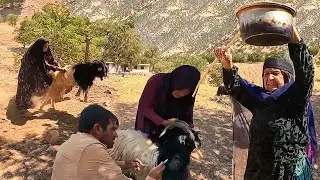 A Busy Day at Grandmas Farm with Goats Vaccinations