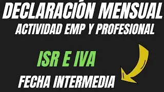 ❤️Declaración Mensual a fecha intermedia Actividad empresarial y profesional 2024