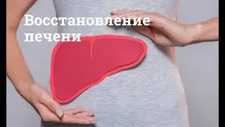 Как «очистить» печень после праздников?