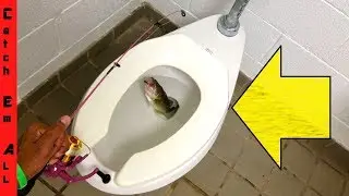 FISHING in TOILET!