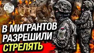 Польские пограничники и солдаты теперь могут применять оружие