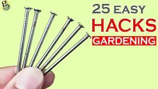 25 MIND BLOWING GARDEN HACKS: Gardening Ideas and Tips - 2018