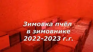 Зимовка пчёл в зимовнике 2022-2023г.г.(12.02.2023)