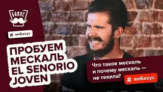 Что такое мескаль? Отличия мескаля от текилы + дегустация мескаля El Senorio Joven