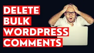 How To Delete Bulk Spam Comment on WordPress 2024