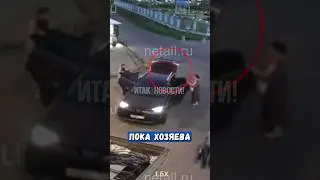 Угнал автомобиль прямо перед носом владельца 🥴