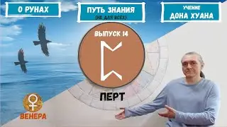 Руны XXI (2022)  / Выпуск 14 / Руна Перт