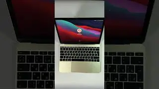 MacBook 12 - самый лёгкий макбук 🪶