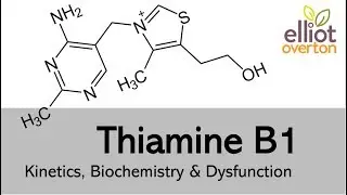 Thiamine (Vitamin B1): Basic Kinetics, Biochemistry & Deficiency