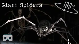 Scary VR video with Giant Spiders & Horror Monsters: Virtual Reality Halloween 3D videos for VR Box